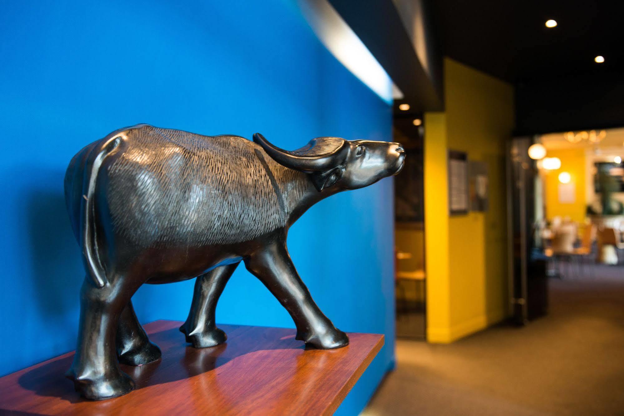 הובארט Black Buffalo מראה חיצוני תמונה